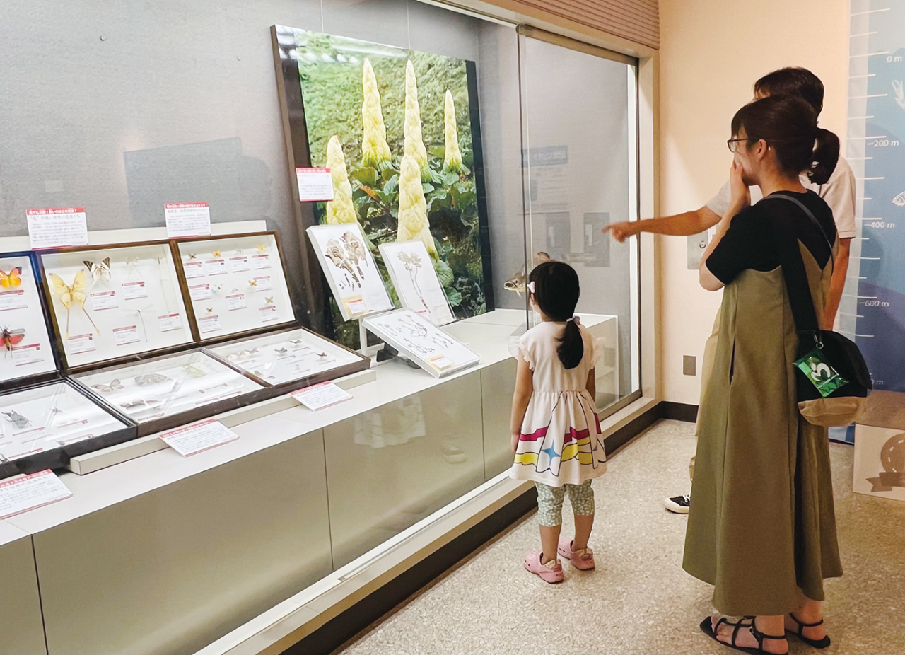 横須賀市自然・人文博物館にて「しぜん☆はくぶつチャンピオンシップ」開催中（2024年8月23日号横須賀・三浦・湘南版）