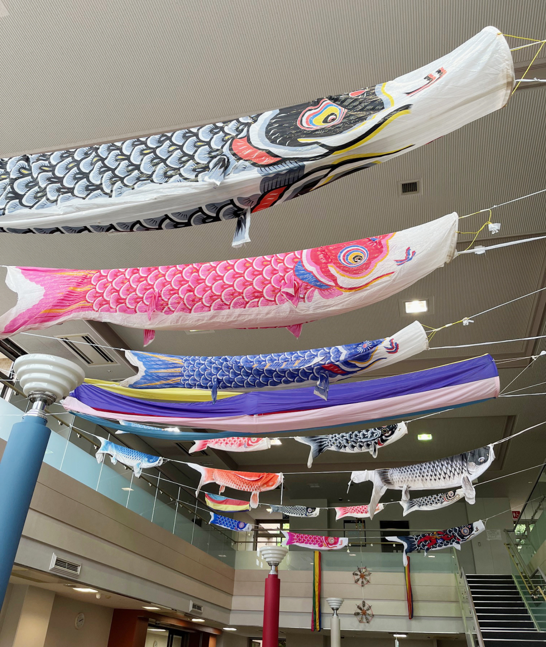 5月末日まで池上コミセンで鯉のぼり展示（2026年5月1日号横須賀・三浦・湘南版）
