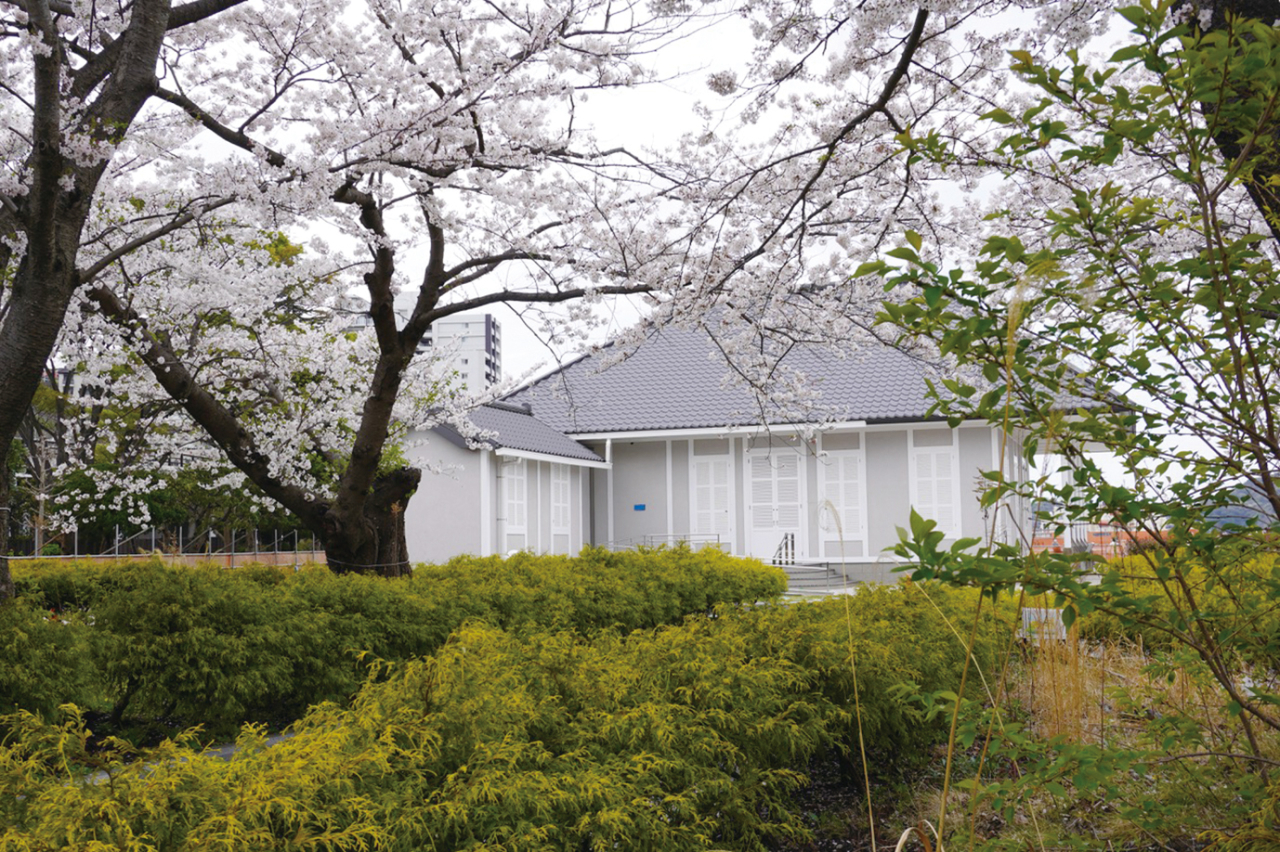 フランス式庭園で楽しむ桜！ ヴェルニー公園（2023年3月10日号横須賀・三浦・湘南版）