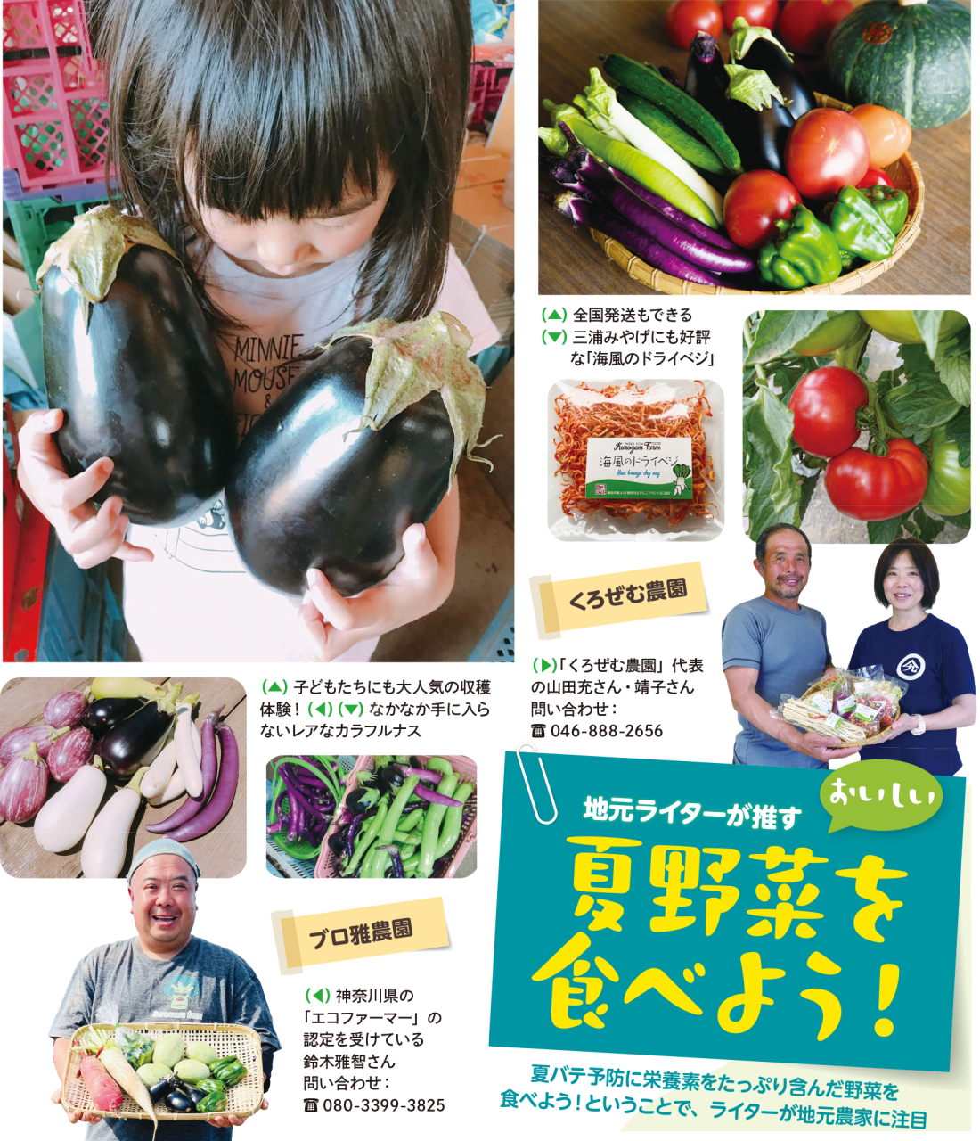 夏野菜を食べよう！（2024年7月5日号横須賀・三浦・湘南版）