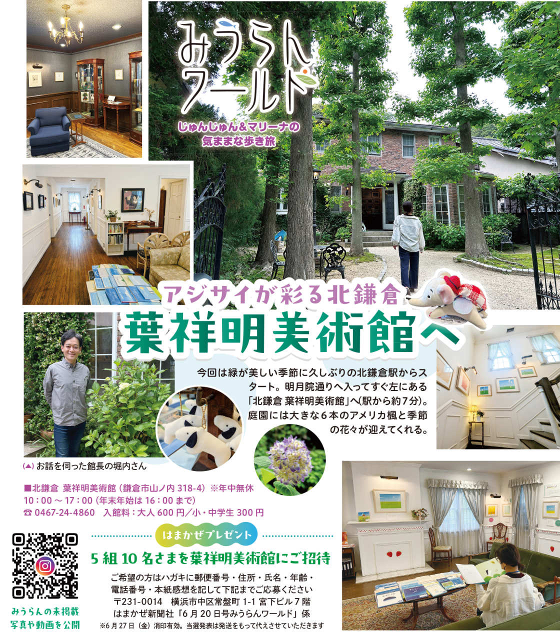 アジサイ彩る北鎌倉 葉祥明美術館へ【2025年6月20日号横須賀・三浦・湘南版】