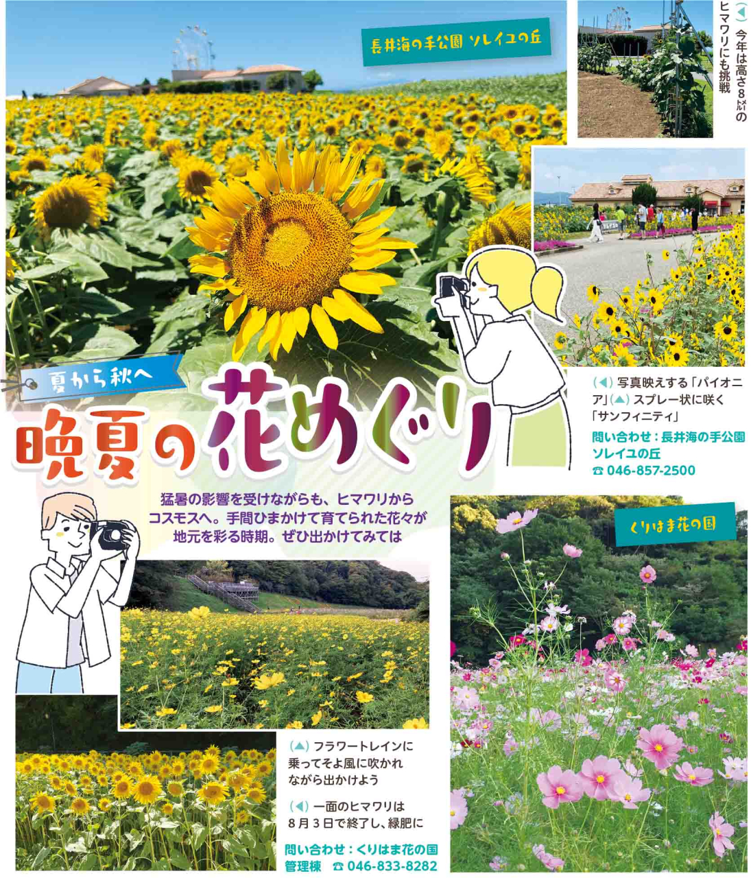 夏から秋へ…晩夏の花めぐり（2025年8月22日号横須賀・三浦・湘南版）