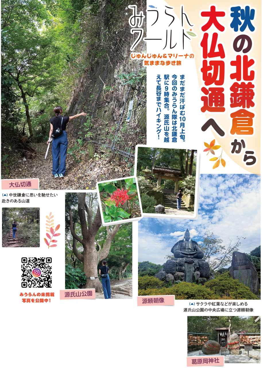 【みうらんワールド】秋の北鎌倉大仏切通へ（2025年10月17日号横須賀・三浦・湘南版）