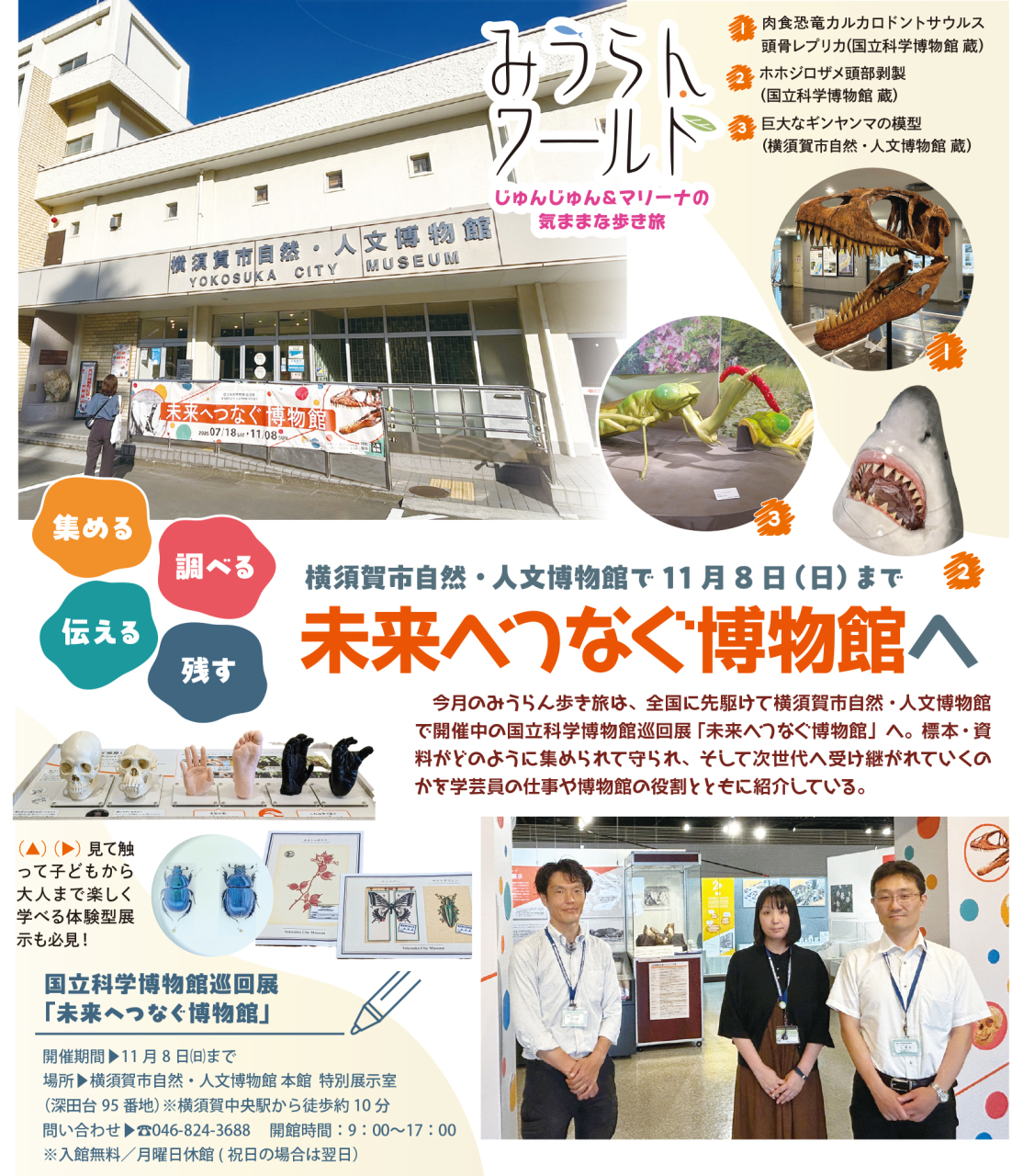 【みうらんワールド】横須賀市自然・人文博物館で開催中！「未来へつなぐ博物館」へ（2026年8月28日号横須賀・三浦・湘南版）