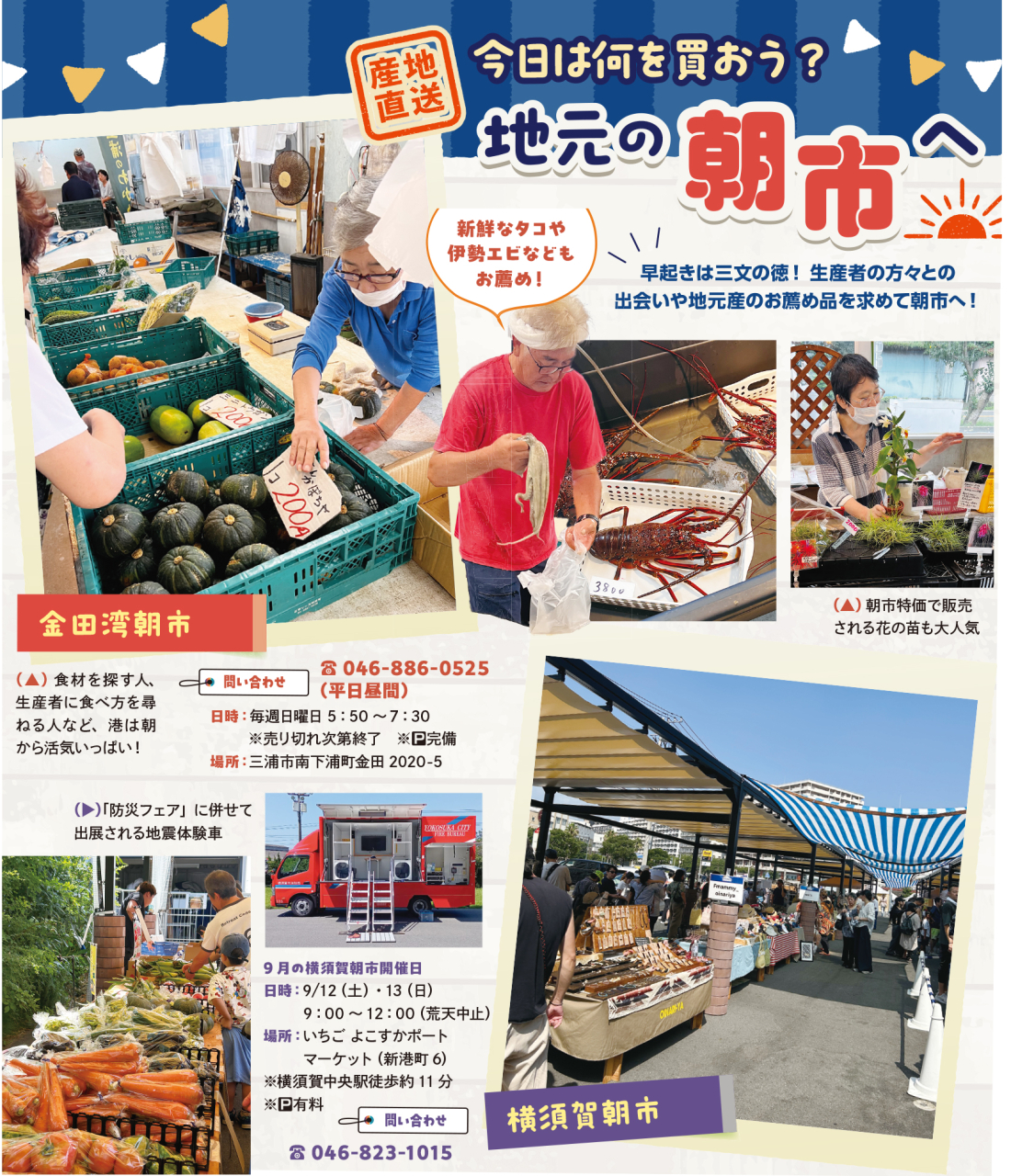 早起きは三文の徳！地元の朝市へ（2026年9月4日号横須賀・三浦・湘南版）