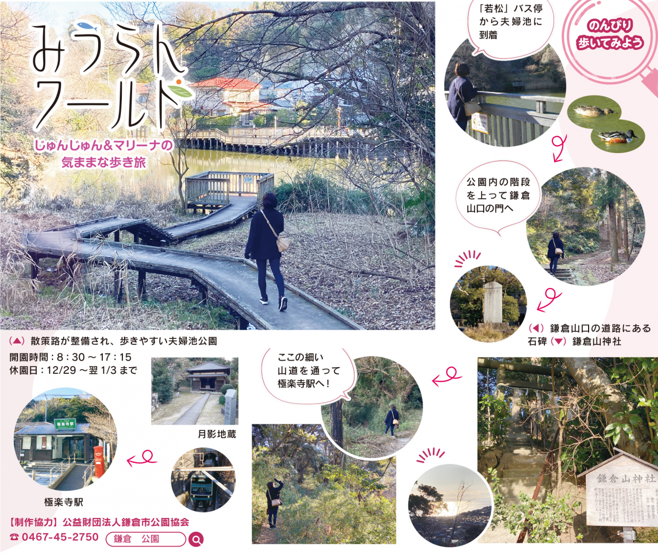 夫婦池公園から鎌倉山を歩く（2022年1月28日号横須賀・三浦・湘南版）