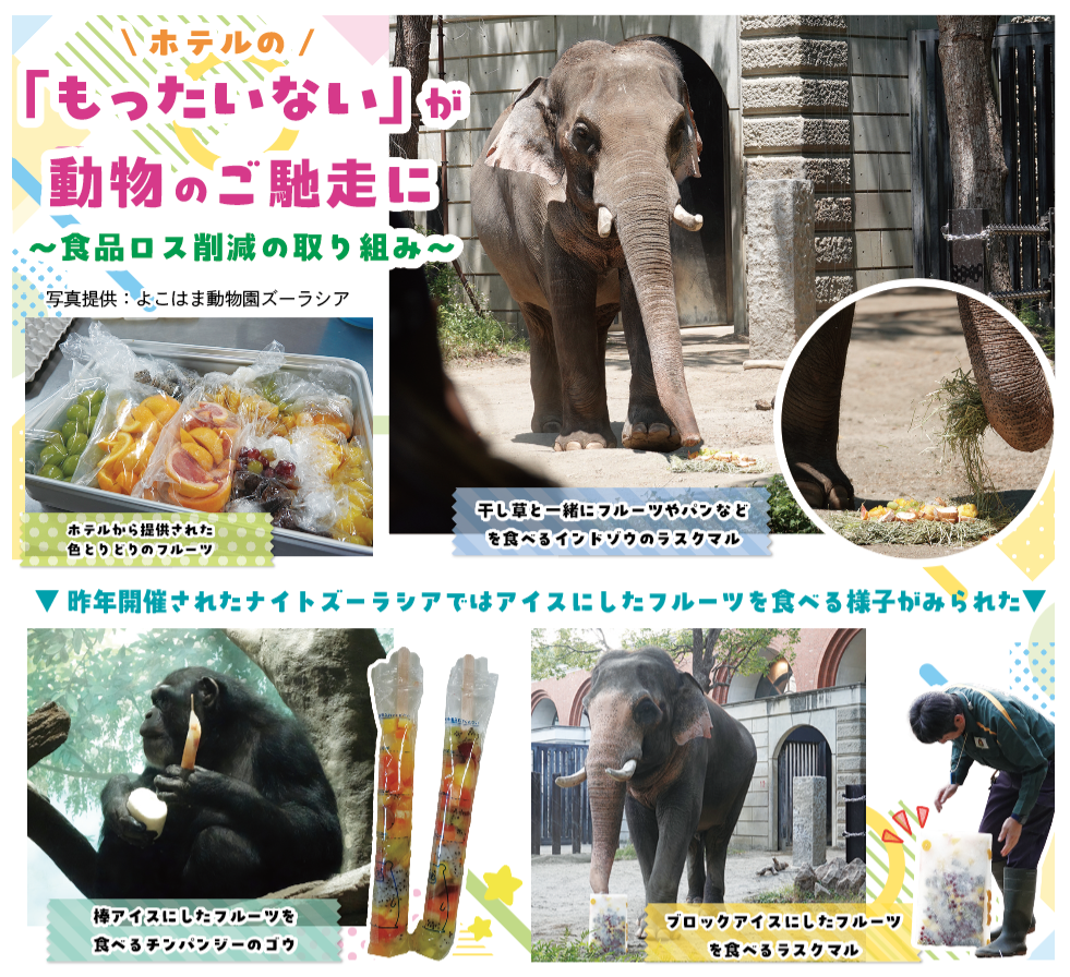 ホテルの「もったいない」が動物のご馳走に
〜食品ロス削減の取り組み〜（2026年8月号金沢版、中区・西区版）
